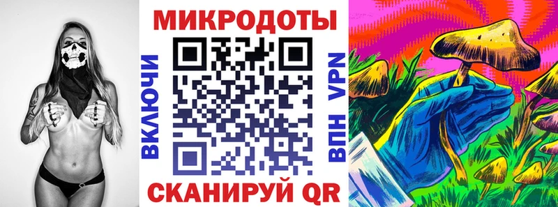 хочу Сосновоборск Псилоцибиновые грибы Psilocybine cubensis