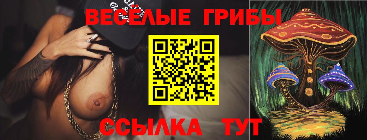 Галлюциногенные грибы мухоморы Сосновоборск