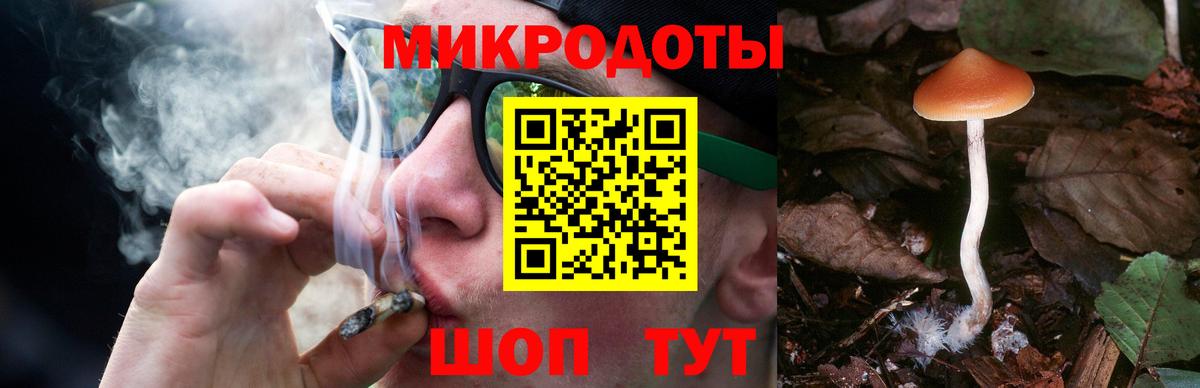 Сосновоборск  Псилоцибиновые грибы Magic Shrooms  Вход с VPN 