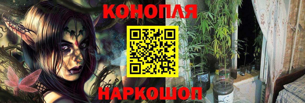 Шишки марихуана гибрид  Канабис Bruce Banner  Вход с VPN  Марихуана индика  Сосновоборск 